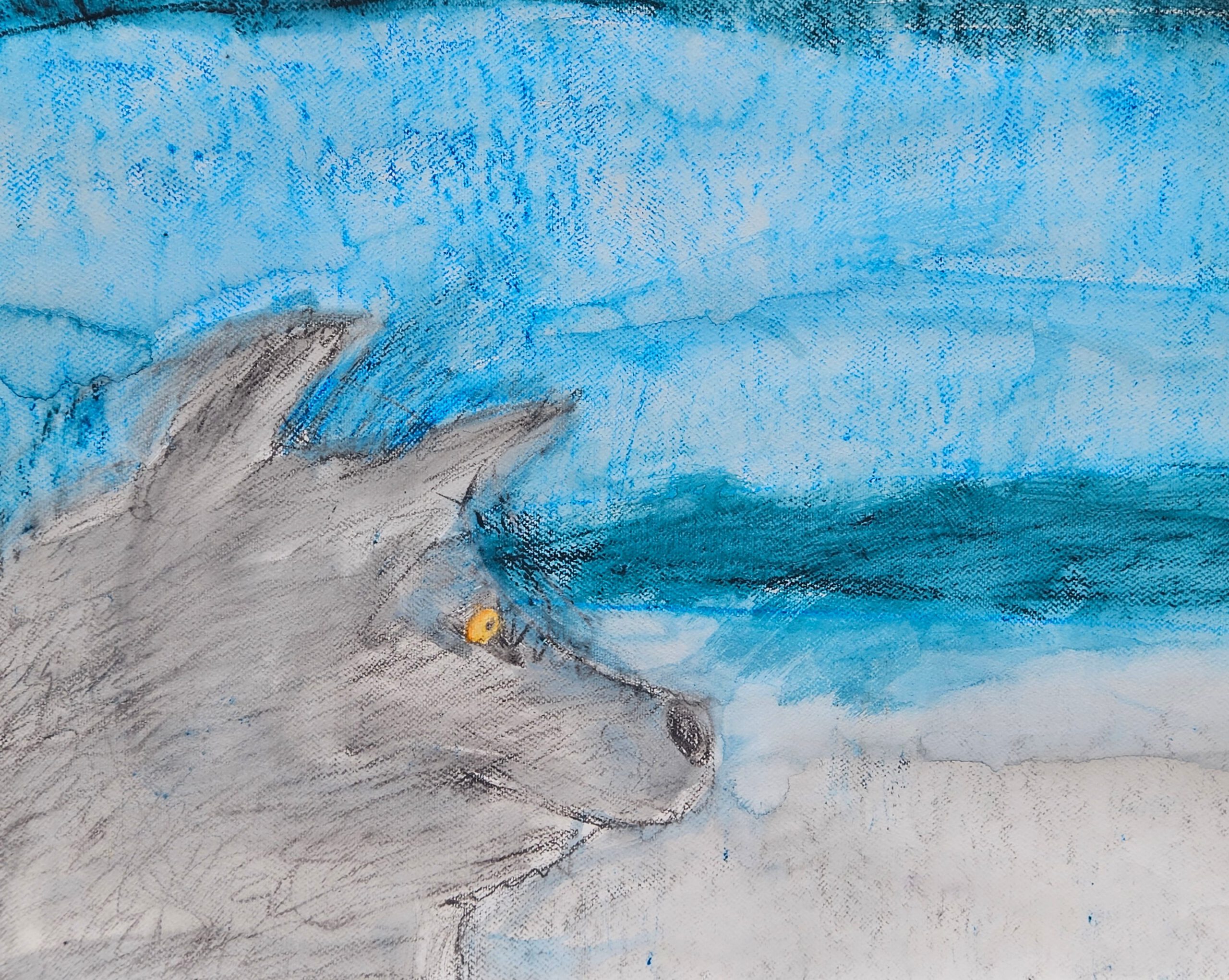 06_20260315_154229 Tymur